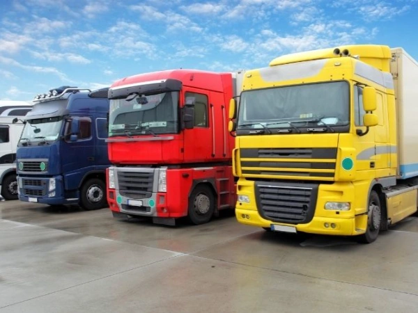 İzmir Kavak Nakliye